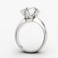 6 Prong ring mounting