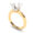 14k-two-tone