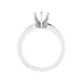 6 prong oval ring setting only 14k white gold