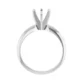 six prong tiffany solitaire ring setting only white gold
